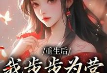 哪里能找到重生后,我步步为营,揭露宫斗小说的全部章节?-艾米文学