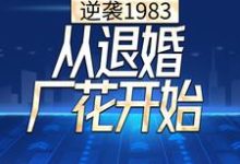 《逆袭1983，从退婚厂花开始》全集免费在线阅读（）-艾米文学