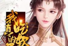 主角叫韩枫姜玖小说我真的不想吃软饭章节免费阅读-艾米文学