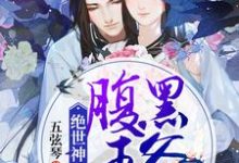 求绝世神医：腹黑王爷别缠我小说免费资源-艾米文学