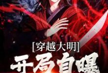 完整版的穿越大明：开局自曝穿越者小说在哪里可以免费读到？-艾米文学