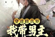 穿进修真界：我带男主得道升仙小说的免费阅读版本在哪里可以找到？-艾米文学