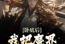 完整版的卧底后,我把魔界圣女拿下了小说在哪里可以免费读到?-艾米文学