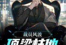 完结版《裁员风波：顶梁柱他创业成功了》章节目录在线阅读-艾米文学
