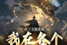 主人公叫叶青吴霞的小说哪里免费看-艾米文学