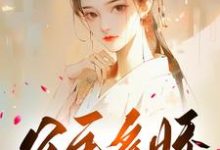 公主多娇，引得王爷折腰小说全文阅读需要付费吗？寻找免费资源-艾米文学