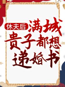 想读沈宁的故事，哪里可以免费找到休夫后，满城贵子都想递婚书？