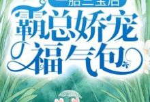 一胎三宝后,霸总娇宠福气包(陆北城江如意)在线免费阅读-艾米文学