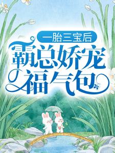 一胎三宝后，霸总娇宠福气包（陆北城江如意）在线免费阅读