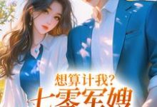 想算计我？七零军嫂搬空你全家李翠花沈靖萧，想算计我？七零军嫂搬空你全家最新章节-艾米文学