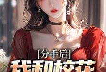 分手后,我和校花成了室友主角陈子安苏婉柔小说完结版章节在线阅读-艾米文学