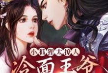 《小狐狸太撩人,冷面王爷笑着宠》小说大结局免费试读 青鸢祁司晏小说-艾米文学