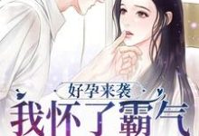 求好孕来袭：我怀了霸气军官的崽子小说免费资源-艾米文学