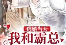 逃婚当天，我和霸总灵魂互换小说有没有完结版在线？-艾米文学