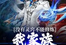 没有灵窍不能修炼？我家族自有定论小说免费资源，没有灵窍不能修炼？我家族自有定论在线阅读-艾米文学