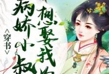 在线寻找穿书：病娇小叔子想娶我为妻小说的无删减版本-艾米文学