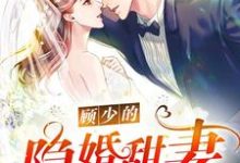 小说在线章节免费阅读（顾少的隐婚甜妻无弹窗无删减）-艾米文学