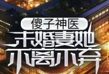 免费在线阅读傻子神医：未婚妻她不离不弃小说的正规网站有哪些？-艾米文学