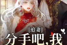 小说《追妻：分手吧，我不哄你了》章节免费阅读-艾米文学