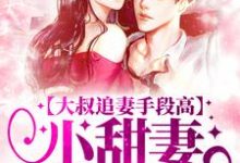 大叔追妻手段高,小甜妻逃不掉小说,大叔追妻手段高,小甜妻逃不掉免费阅读-艾米文学