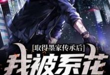 小说《取得墨家传承后，我被系花盯上了》在线章节阅读-艾米文学