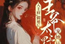 祁北辰苏摇小说在线章节免费阅读(入王府,做通房,王爷太野宠她狂无弹窗无删减)-艾米文学