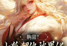 求齁甜!小狐狸他被黑化男主吃干抹净小说免费资源-艾米文学