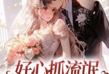 完结版《好心抓流氓,结果抓错人了》在线免费阅读-艾米文学