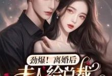 池晚池娇霍司寒池海平李岚霍总小说劲爆,离婚后夫人给总裁挂男科了在线阅读-艾米文学