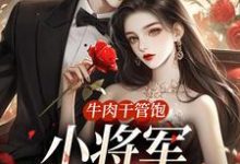 牛肉干管饱，小将军主动入赘穆云瑶云瑶伏长歌小说在线章节目录阅读最新章节-艾米文学
