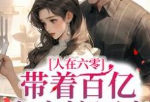 人在六零：带着百亿家产嫁军官小说的无弹窗阅读体验，寻找免费阅读网站-艾米文学