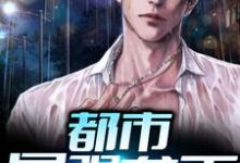 免费看都市最强龙王小说的网站有哪些？-艾米文学
