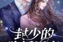 封少的隐婚罪妻小说全文哪里可以免费看?-艾米文学