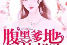 妈咪胖胖，腹黑爹地快投降苏锦如沈延风夏莎齐森小说完结版章节在线阅读-艾米文学