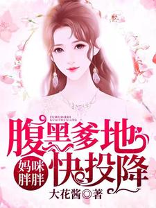 妈咪胖胖，腹黑爹地快投降苏锦如沈延风夏莎齐森小说完结版章节在线阅读