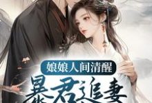 娘娘人间清醒，暴君追妻火葬场孟棠褚奕小说在线章节免费阅读-艾米文学
