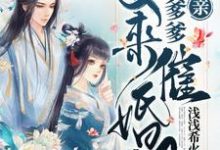 已完结小说《娘亲,王爷爹爹又来催婚啦》在线章节阅读-艾米文学