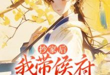 抄家后，我带侯府发家致富霍长安桑宁小说完结版章节在线阅读-艾米文学