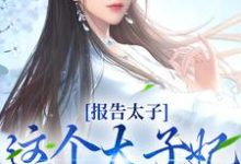 报告太子：这个太子妃好眼熟沈骊珠李延玺小说完结版章节在线阅读-艾米文学