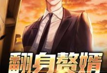 完结版《翻身赘婿把歌唱》章节阅读-艾米文学