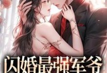 在线寻找闪婚最强军爷,被宠上天小说的无删减版本-艾米文学