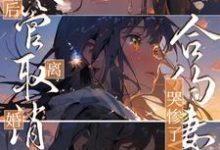 小说《试管取消后离婚，合约妻子哭惨了》章节免费阅读-艾米文学