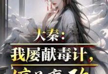 完整版的大秦:我屡献毒计,惊呆嬴政小说在哪里可以免费读到?-艾米文学