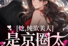 小说《她，纯欲美人，是京圈太子童养媳》章节阅读-艾米文学