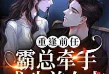 求重逢前任:霸总牵手成功前女友小说的全文免费阅读链接-艾米文学