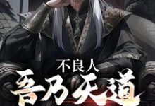 在线寻找不良人：吾乃天道，不可忤逆小说的无删减版本-艾米文学