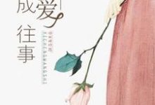小说《当爱已成往事》章节免费阅读-艾米文学