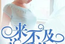 完结版《来不及说爱你》章节目录在线阅读-艾米文学