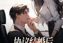小说《协议结婚后,高冷总裁要反悔》在线章节阅读-艾米文学