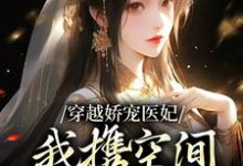 玉玥璃小说穿越娇宠医妃：我携空间秒杀太医院在线阅读-艾米文学